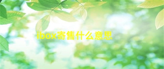 iBox 寄售服務(wù)解析 什么是受托寄賣(mài)？