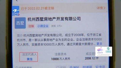 他家的柜子隔板，竟能實現手撕式受托寄賣？